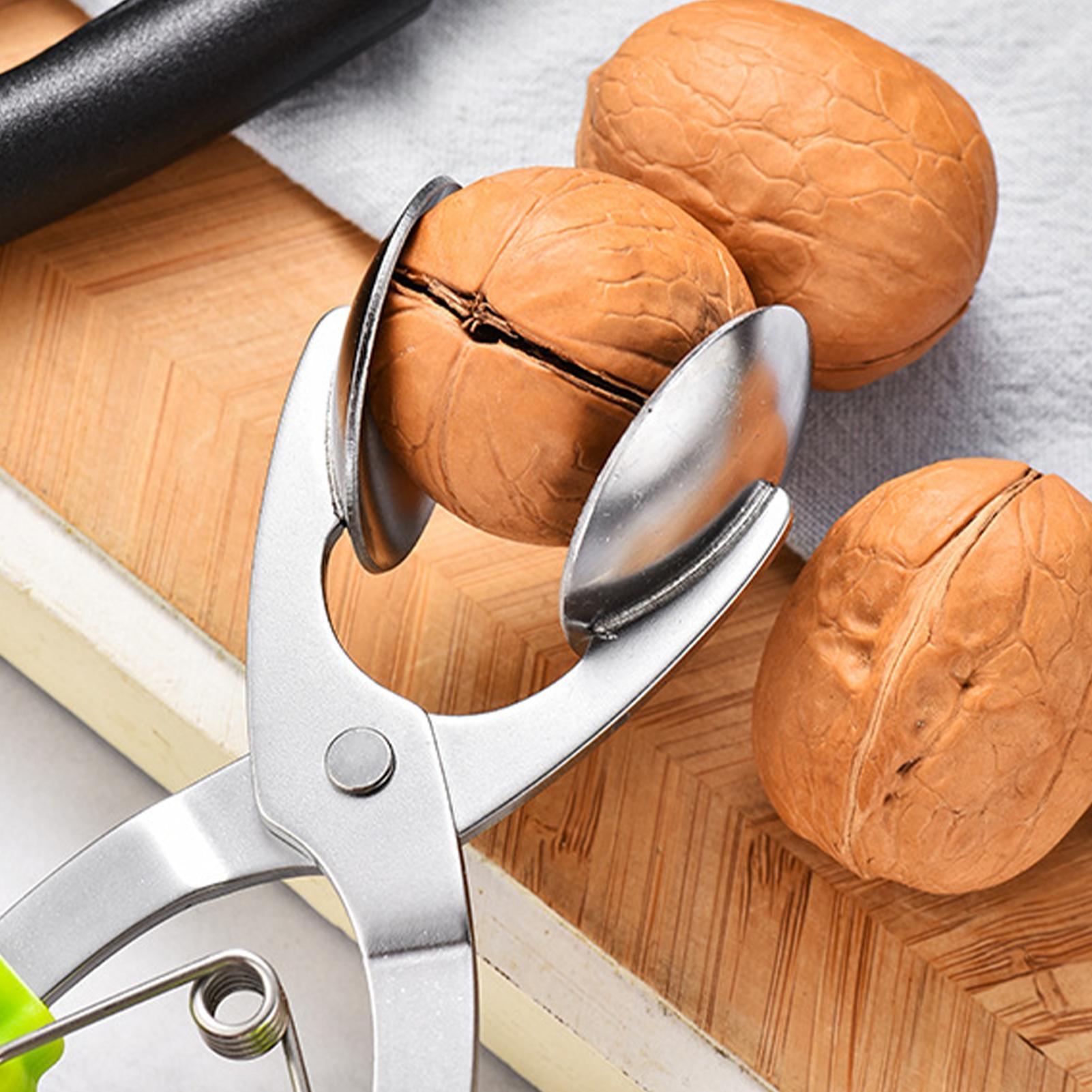 Stainless Chestnut Machine Kit - Kitchen Appliances Brand review and price