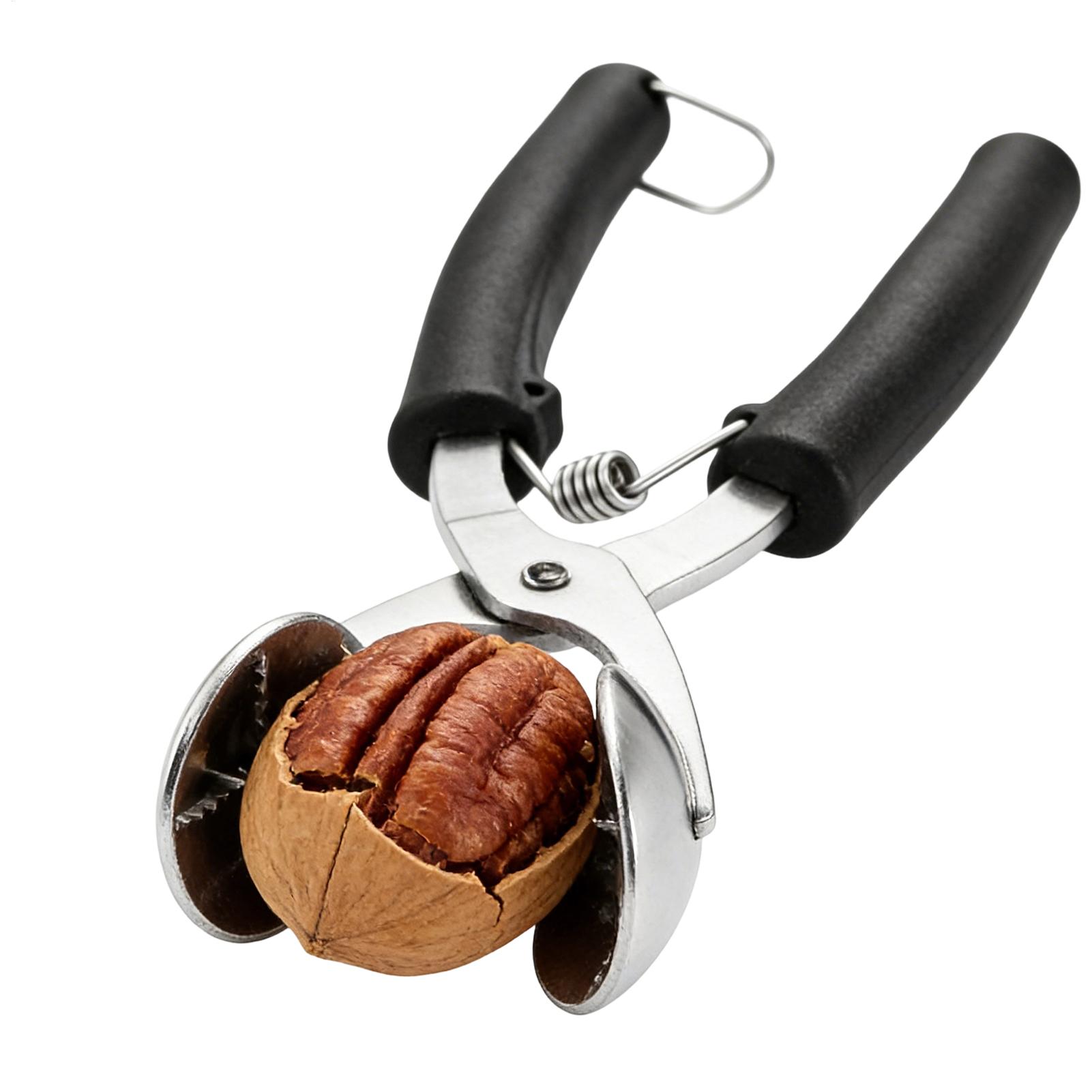 Stainless Chestnut Machine Kit - Kitchen Appliances Brand review and price